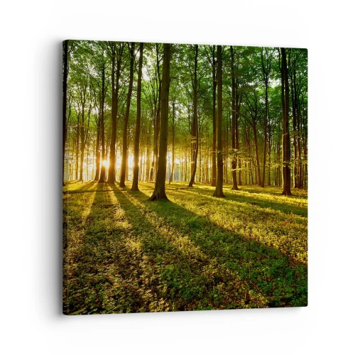 Quadro su tela - Stampe su Tela - La foto di ogni primavera - 30x30 cm