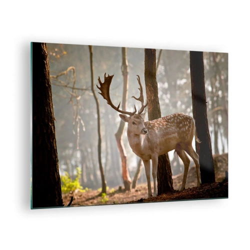 Quadro su vetro - Un cervo nella foresta circondato dalla nebbia mattutina - 70x50cm - La luce della giovinezza - Decorazione murale moderna per soggiorno e camera da letto ARTTOR