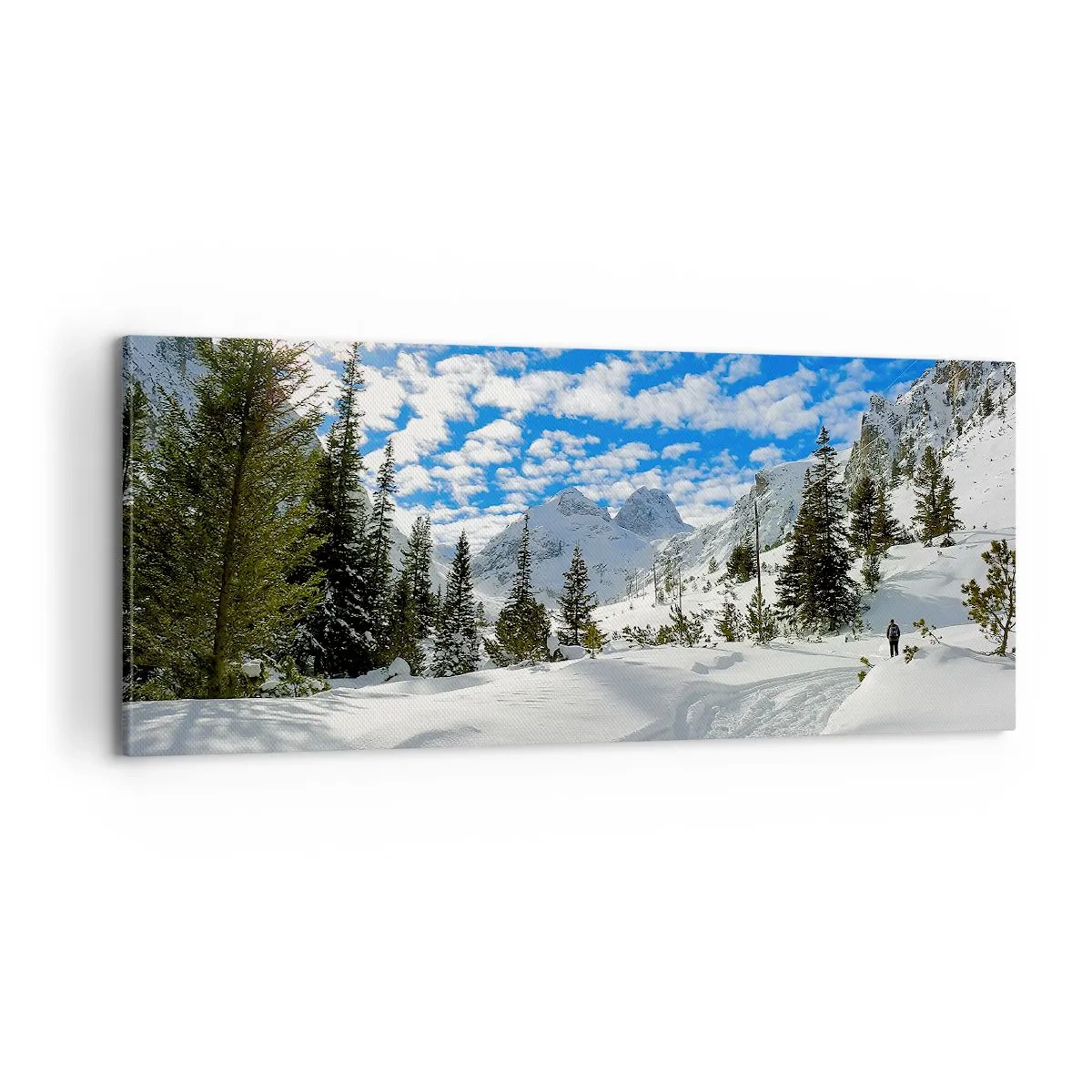 Quadro su tela - Stampe su Tela - Nella neve e nel sole - 100x40 cm
