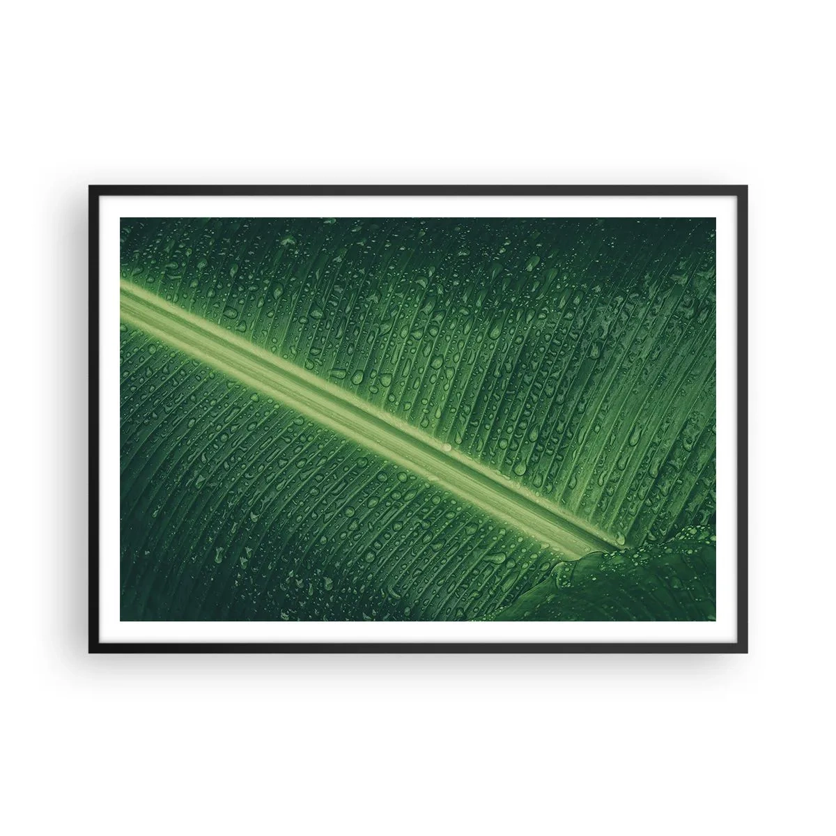Poster in cornice nera - Una foglia verde con gocce d'acqua sulla sua superficie - 100x70cm - La struttura del verde - Decorazione murale moderna per soggiorno e camera da letto ARTTOR