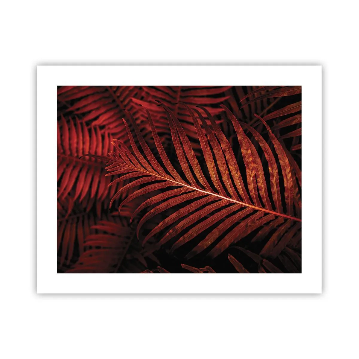Poster - Il calore della vita - 50x40 cm