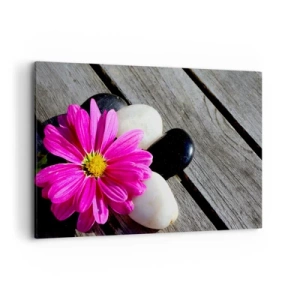 Quadro su tela - Stampe su Tela - Fiore rosa su uno sfondo di assi di legno con pietre - 120x80cm - Riposo sul molo - Decorazione murale moderna per soggiorno e camera da letto ARTTOR