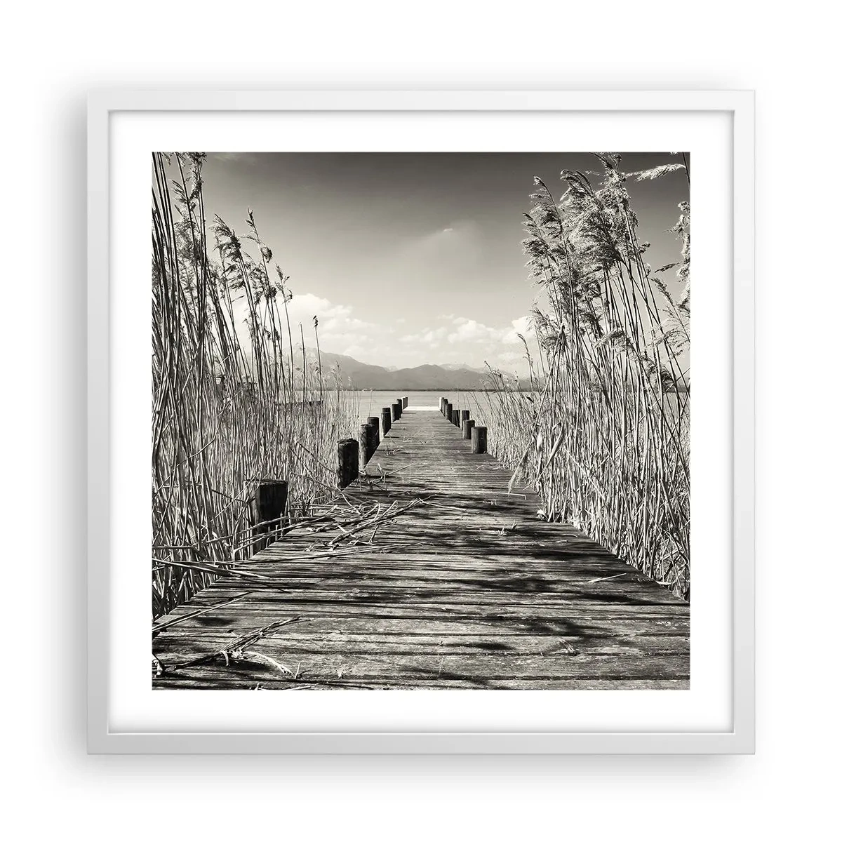 Poster in cornice bianca - Nel silenzio dell'erba - 50x50 cm