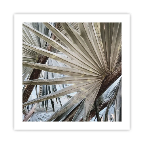 Poster - Ventagli dei tropici - 50x50 cm