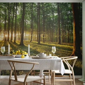 Fotomurali Premium Sand - Una foresta illuminata dai raggi del sole al tramonto - 100x70cm - La foto di ogni primavera - Decorazione murale moderna per soggiorno e camera da letto ARTTOR