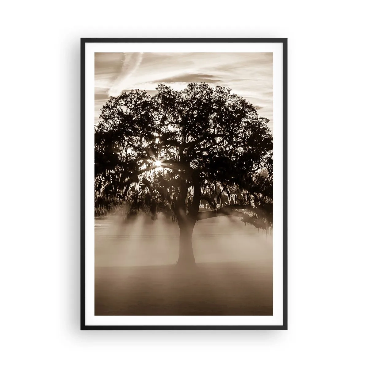 Poster in cornice nera - L'albero delle sole buone notizie - 70x100 cm