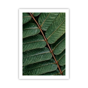 Poster - Foglie con gocce d'acqua che creano una composizione armoniosa - 50x70cm - Al ritmo verde - Decorazione murale moderna per soggiorno e camera da letto ARTTOR