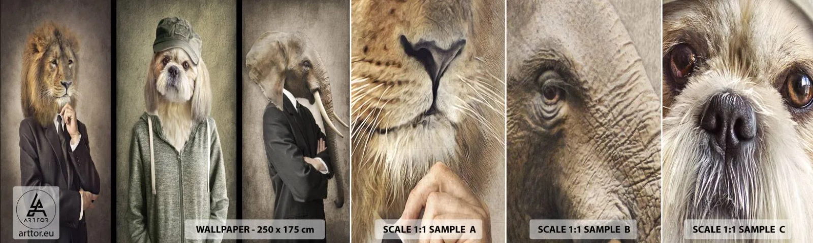 Campione di Fotomurale Adesivo Deluxe Sticker - Preferisco casual - Astrazione, Leone, Cane - 100x30 cm