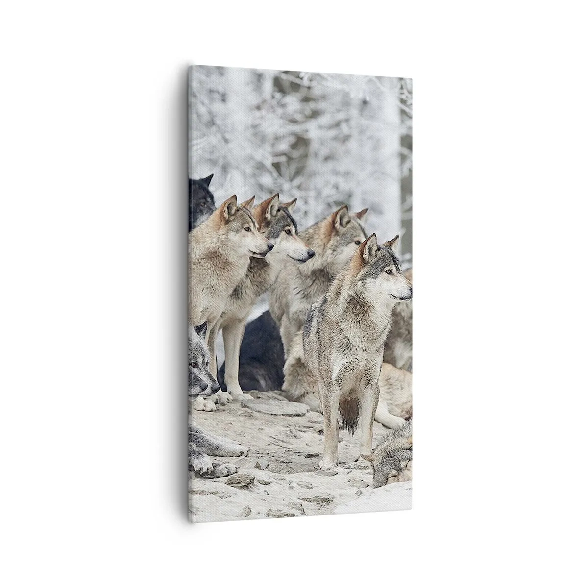 Quadro su tela - Stampe su Tela - Famiglia e amici - 55x100 cm