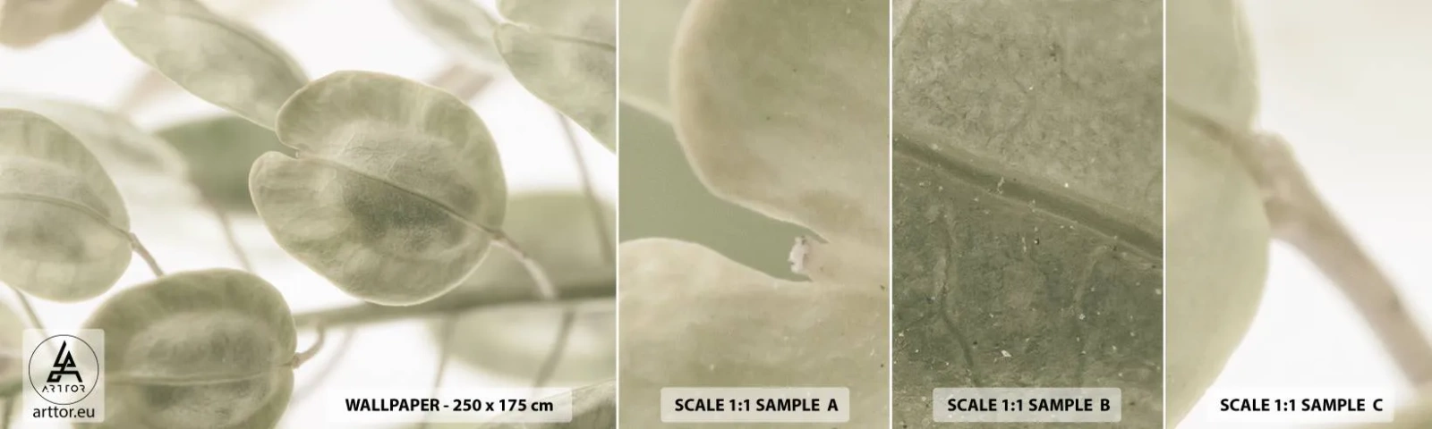 Campione Di Fotomurale Standard Eco - All'inizio vi erano le foglie... - Fiori, Calma, Foglie - 100x30 cm