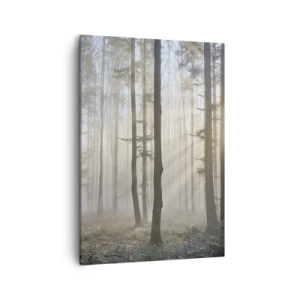 Quadro su tela - Stampe su Tela - Una foresta in una leggera nebbia con raggi di sole che brillano attraverso gli alberi - 50x70cm - Anche la nebbia si è svegliata - Decorazione murale moderna per soggiorno e camera da letto ARTTOR