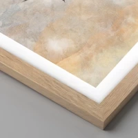 Rovere chiaro