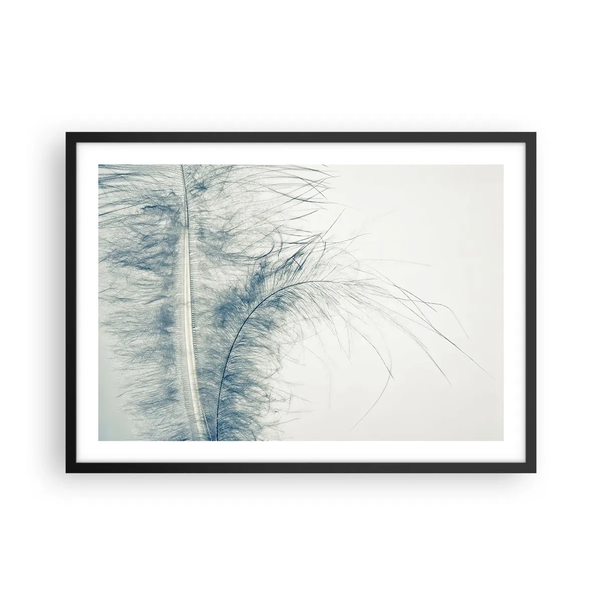 Poster in cornice nera - Una piuma delicata in tonalità pastello su uno sfondo chiaro - 70x50cm - Il sussurro della natura - Decorazione murale moderna per soggiorno e camera da letto ARTTOR