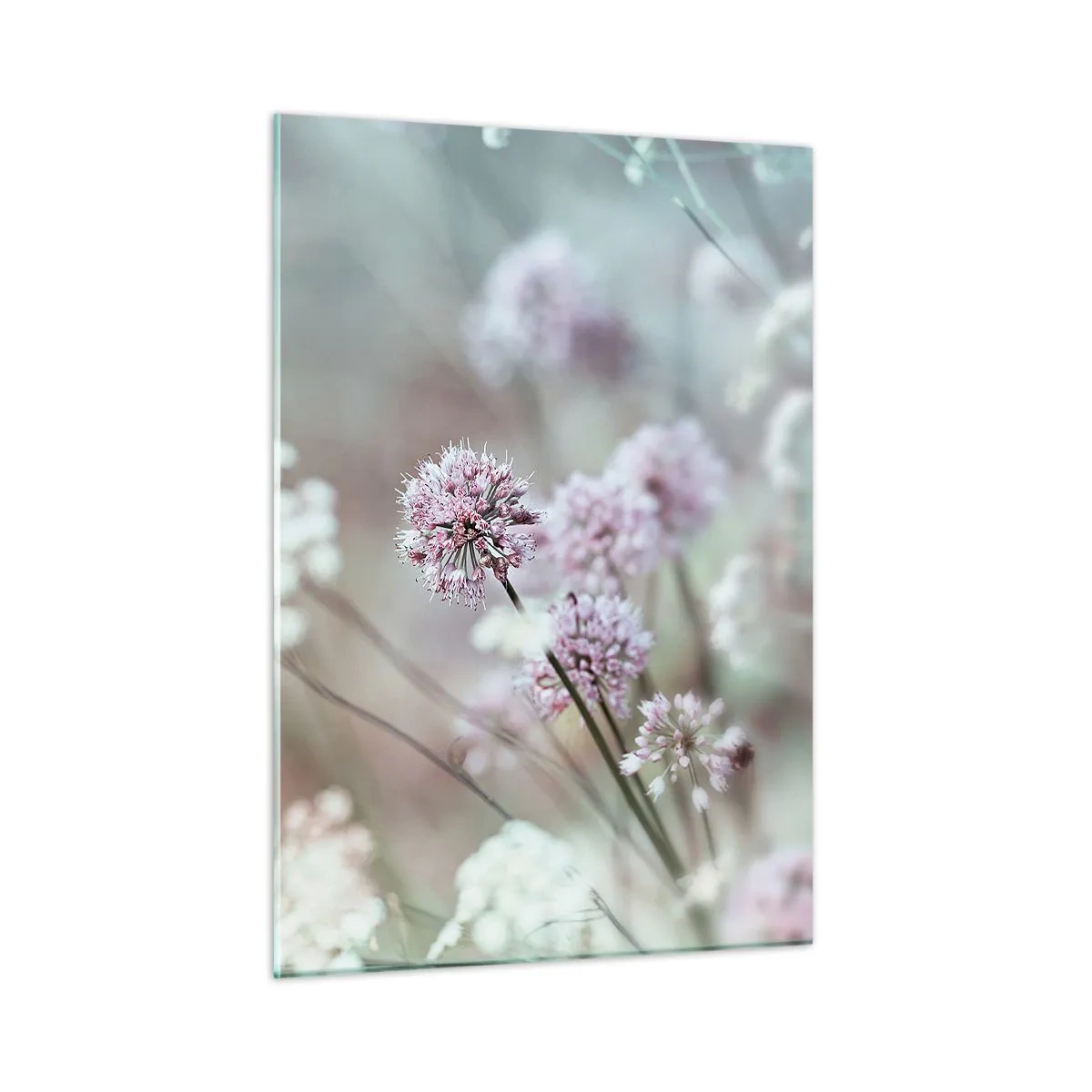 Quadro su vetro - Delicati fiori selvatici in tonalità pastello - 50x70cm - Le dolci filigrane delle erbe - Decorazione murale moderna per soggiorno e camera da letto ARTTOR