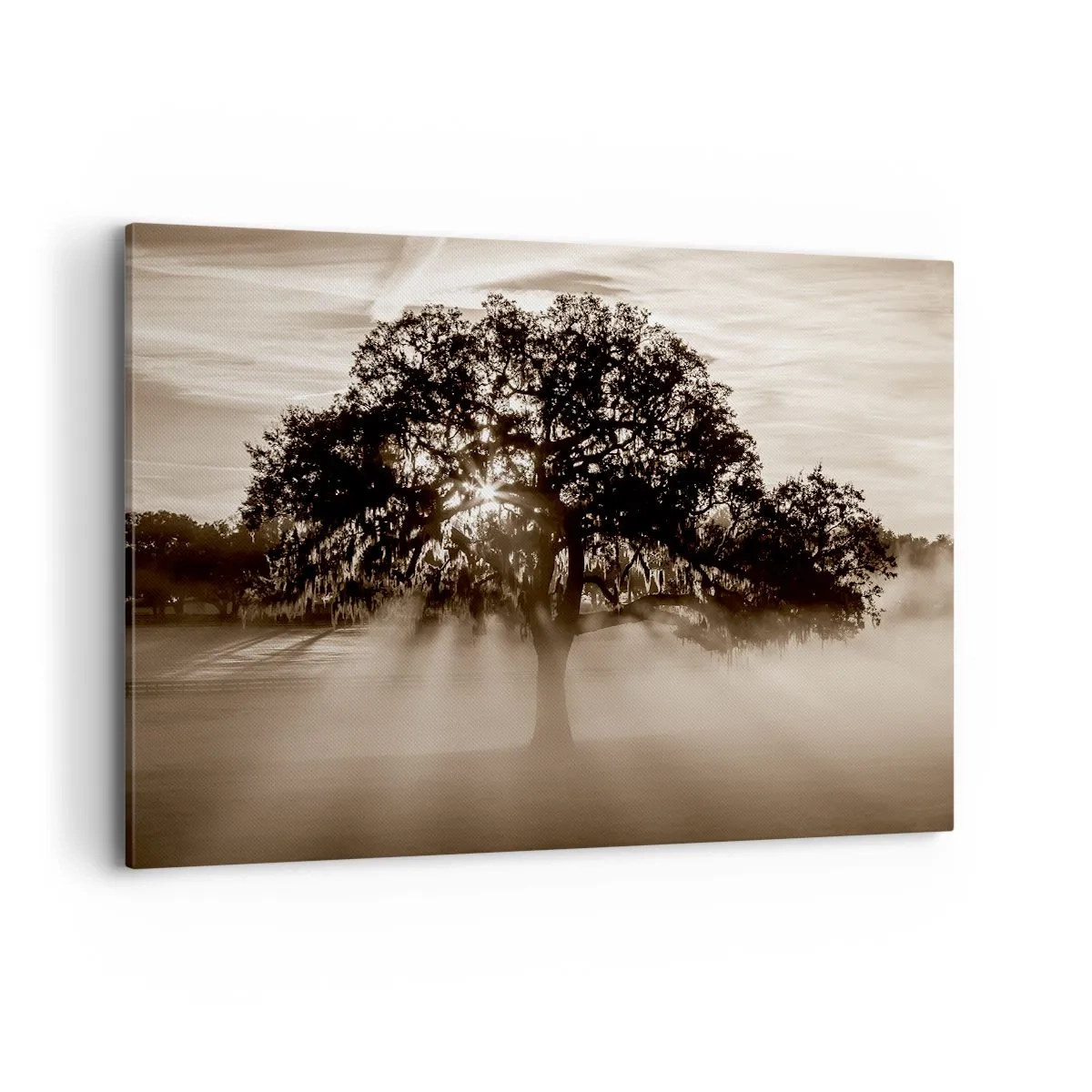 Quadro su tela - Stampe su Tela - Raggi di sole che brillano attraverso un albero solitario - 120x80cm - L'albero delle sole buone notizie - Decorazione murale moderna per soggiorno e camera da letto ARTTOR