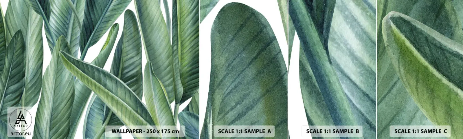 Campione Di Fotomurale Standard Eco - Il verde in sé - Foglie verdi, Pianta tropicale, Natura - 100x30 cm