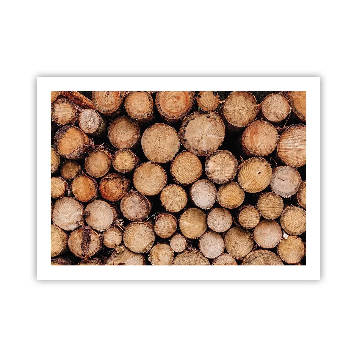 Poster - Nuovo inizio - 70x50 cm