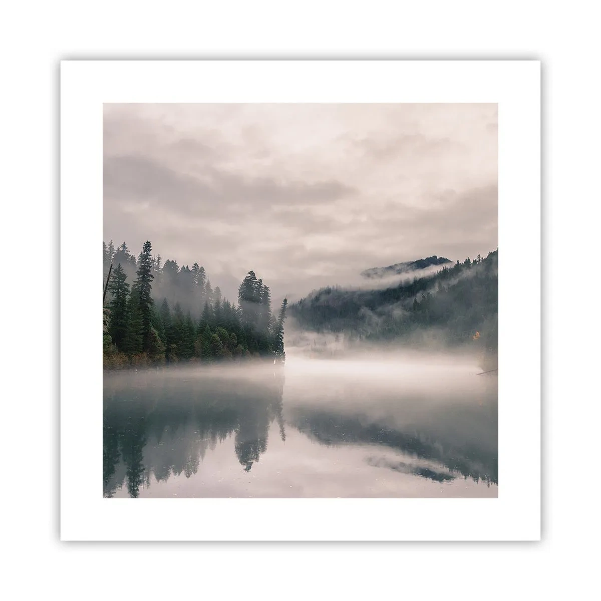 Poster - Riflettendo nella nebbia - 40x40 cm