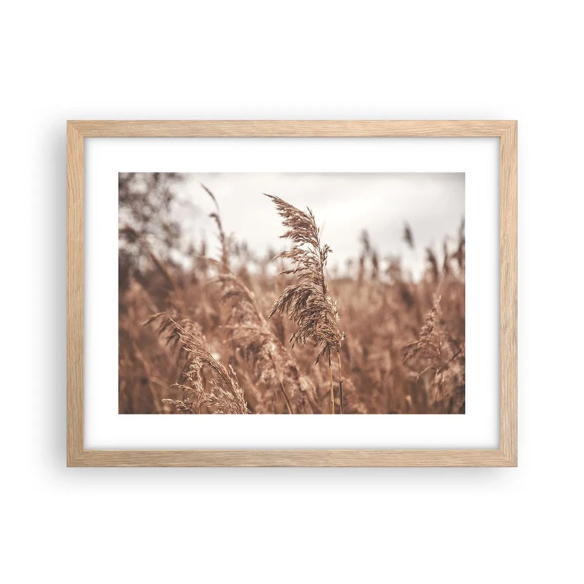 Poster in cornice rovere chiaro - Nei campi è già autunno - 40x30 cm