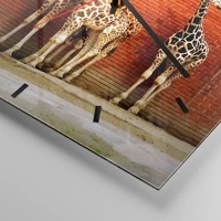 Quadrante con trattini