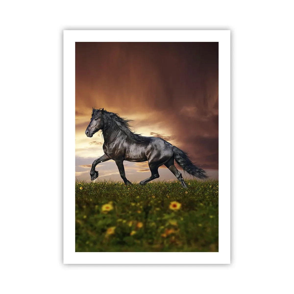 Poster - Un cavallo nero galoppa attraverso un prato alla luce del sole al tramonto. - 50x70cm - Il principe nero - Decorazione murale moderna per soggiorno e camera da letto ARTTOR