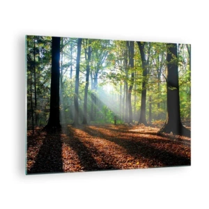 Quadro su vetro - Una foresta sotto i raggi del sole in uno scenario autunnale - 70x50cm - Luci e ombre - Decorazione murale moderna per soggiorno e camera da letto ARTTOR