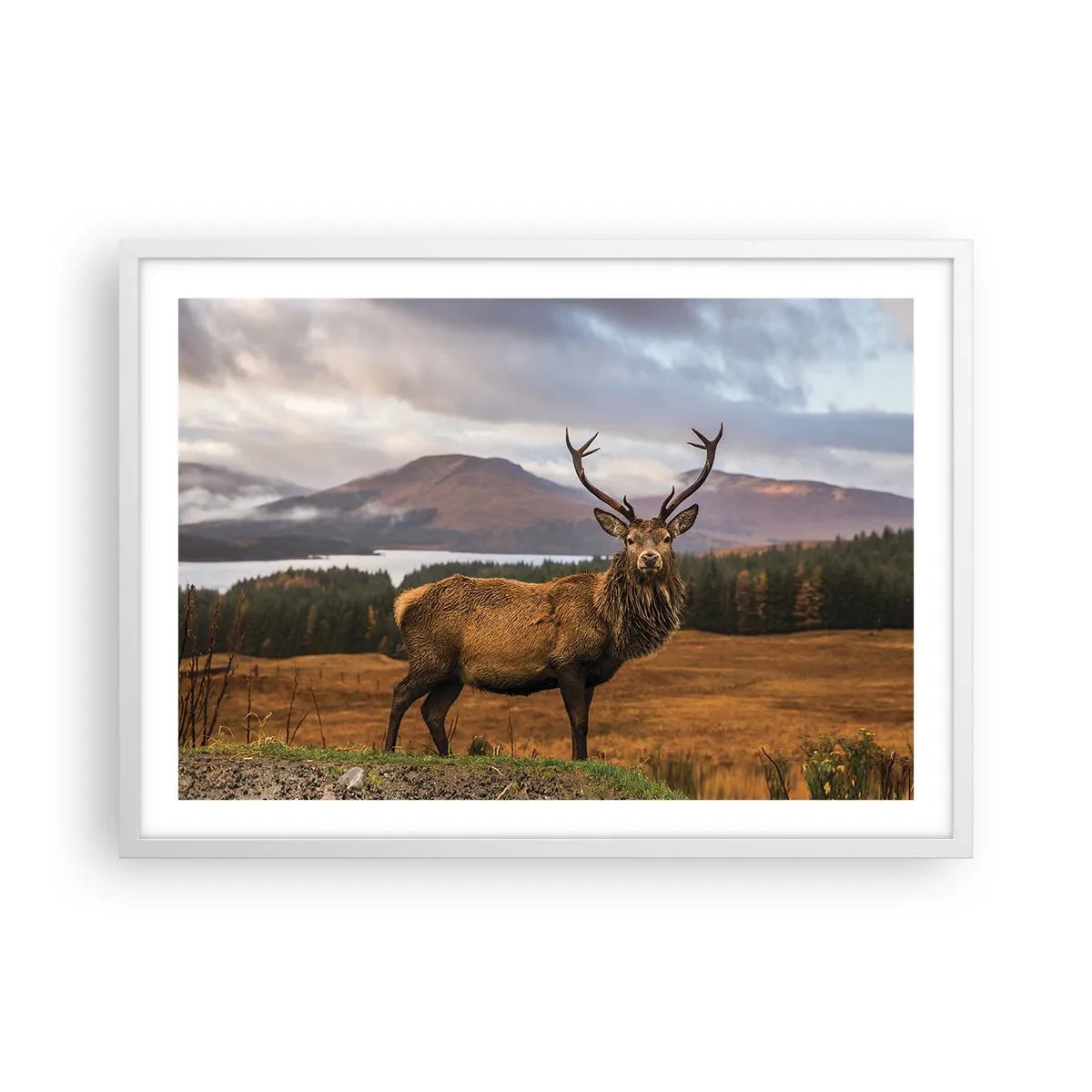 Poster in cornice bianca - Maestà della natura - 70x50 cm