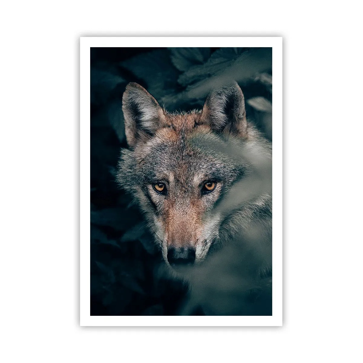 Poster - Cacciatore - 70x100 cm