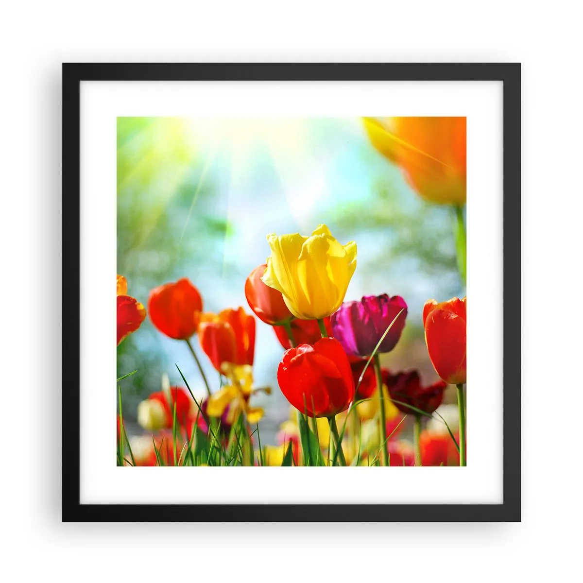 Poster in cornice nera - Tutti i colori del sole - 40x40 cm