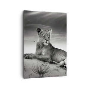 Quadro su tela - Stampe su Tela - Ritratto in bianco e nero di una leonessa nella savana - 50x70cm - Il riposo della regina del deserto - Decorazione murale moderna per soggiorno e camera da letto ARTTOR