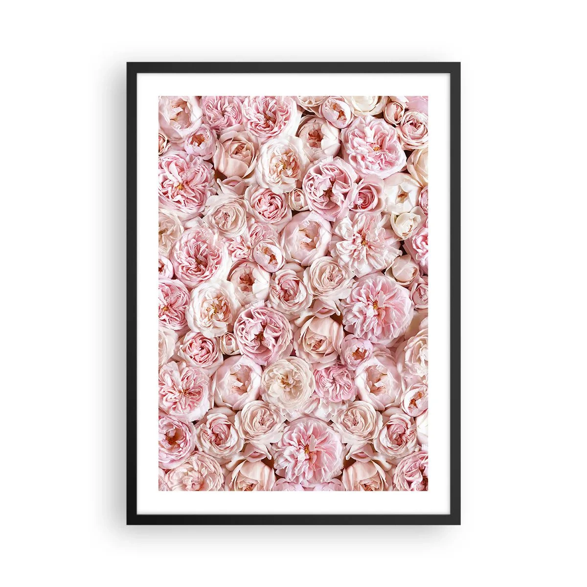 Poster in cornice nera - Una romantica composizione di fiori rosa in primo piano - 50x70cm - Coperto di rose - Decorazione murale moderna per soggiorno e camera da letto ARTTOR