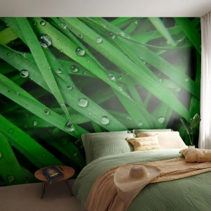 Fotomurali Premium Sand - Giocando con il verde - Natura, Erba verde, Giardino - 250x175 cm