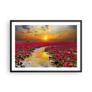 Poster in cornice nera - Un campo di ninfee rosa al tramonto - 70x50cm - La vita segreta del lago - Decorazione murale moderna per soggiorno e camera da letto ARTTOR