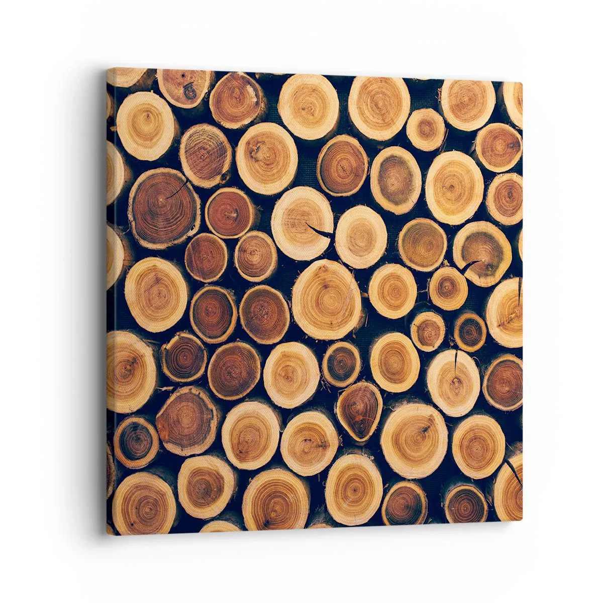 Quadro su tela - Stampe su Tela - Quanti anni mi dai? - 30x30 cm