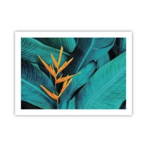 Poster - Il fiore dell'Eden - 70x50 cm