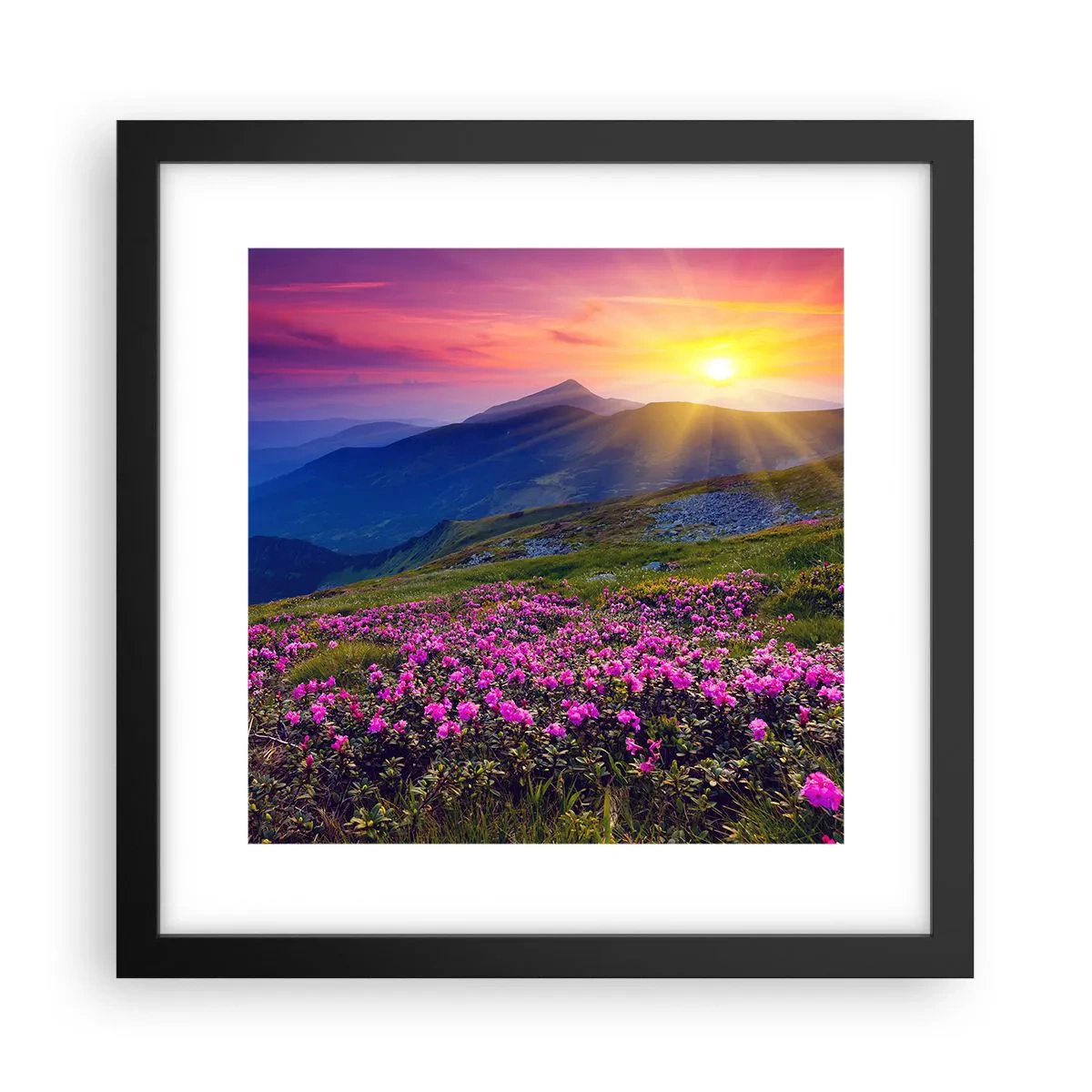 Poster in cornice nera - Odore di mugo e profumo di erbe - 30x30 cm