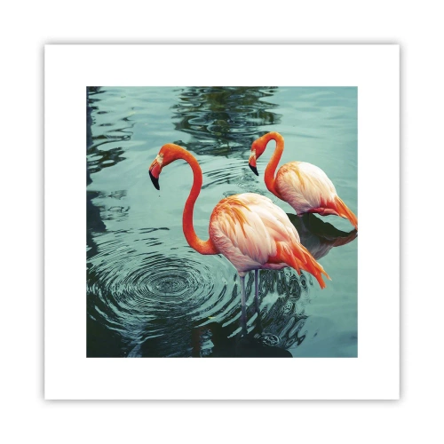 Poster - Adesso siamo di moda - 30x30 cm