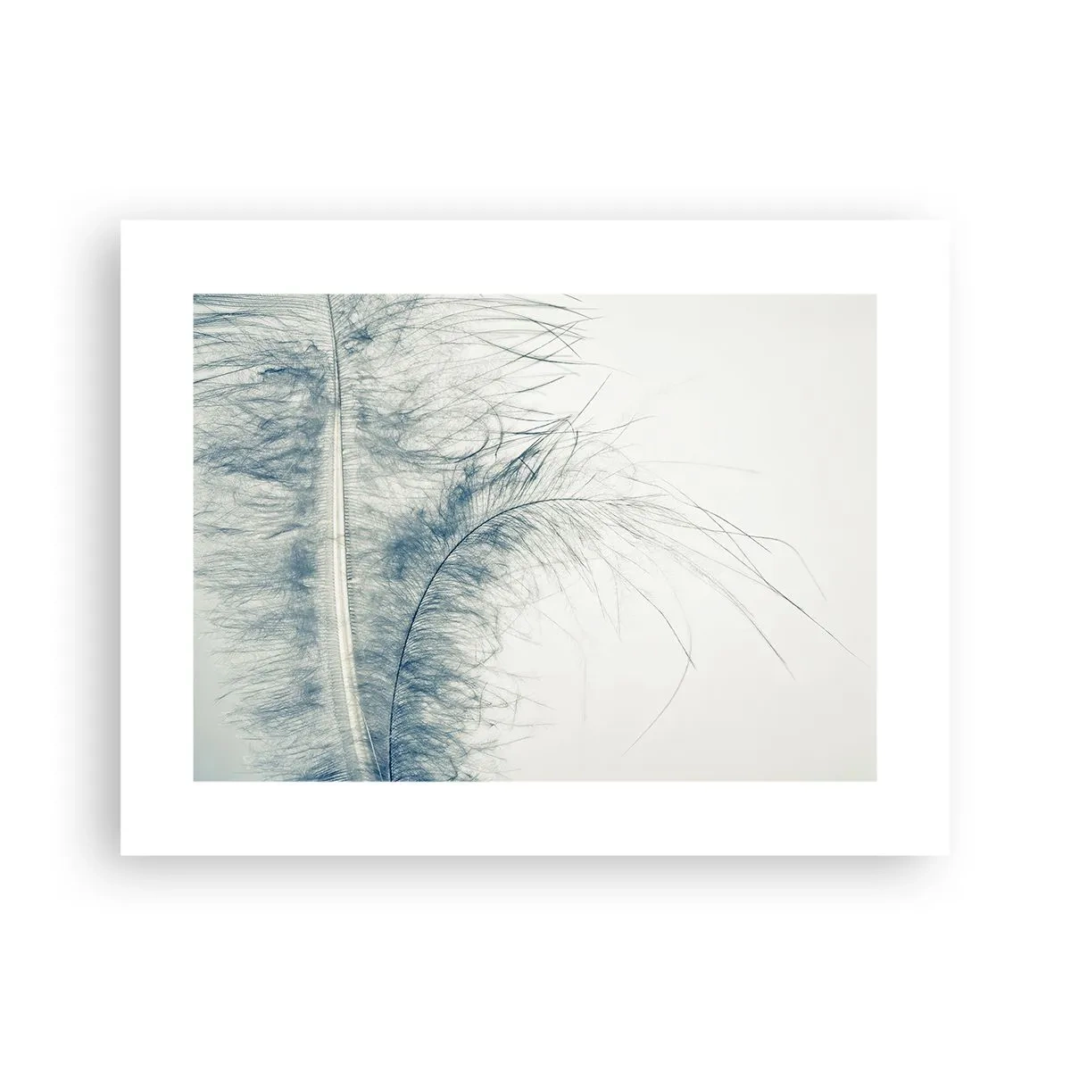 Poster - Il sussurro della natura - 40x30 cm
