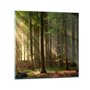 Quadro su vetro - Raggiante in un mattino di primavera - 30x30 cm