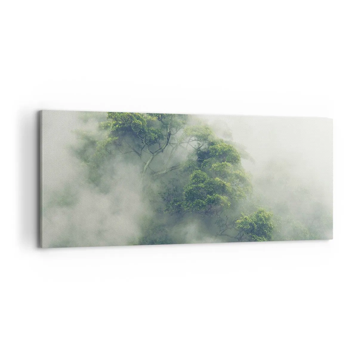 Quadro su tela - Stampe su Tela - Alberi verdi nella fitta nebbia contro uno sfondo naturale - 120x50cm - Avvolti dalla nebbia - Decorazione murale moderna per soggiorno e camera da letto ARTTOR