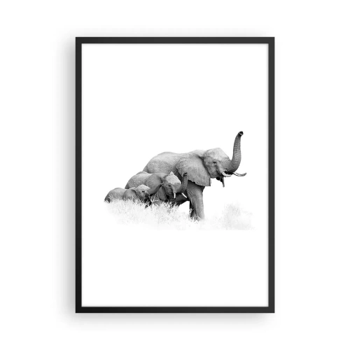 Poster in cornice nera - Ritratto in bianco e nero di una famiglia di elefanti nella savana. - 50x70cm - Uno, due, tre - Decorazione murale moderna per soggiorno e camera da letto ARTTOR