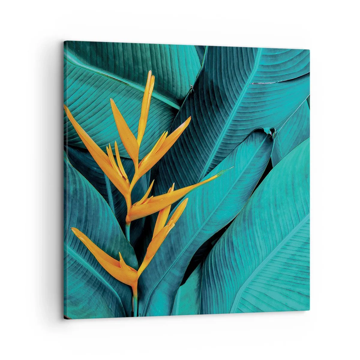 Quadro su tela - Stampe su Tela - Il fiore dell'Eden - 50x50 cm