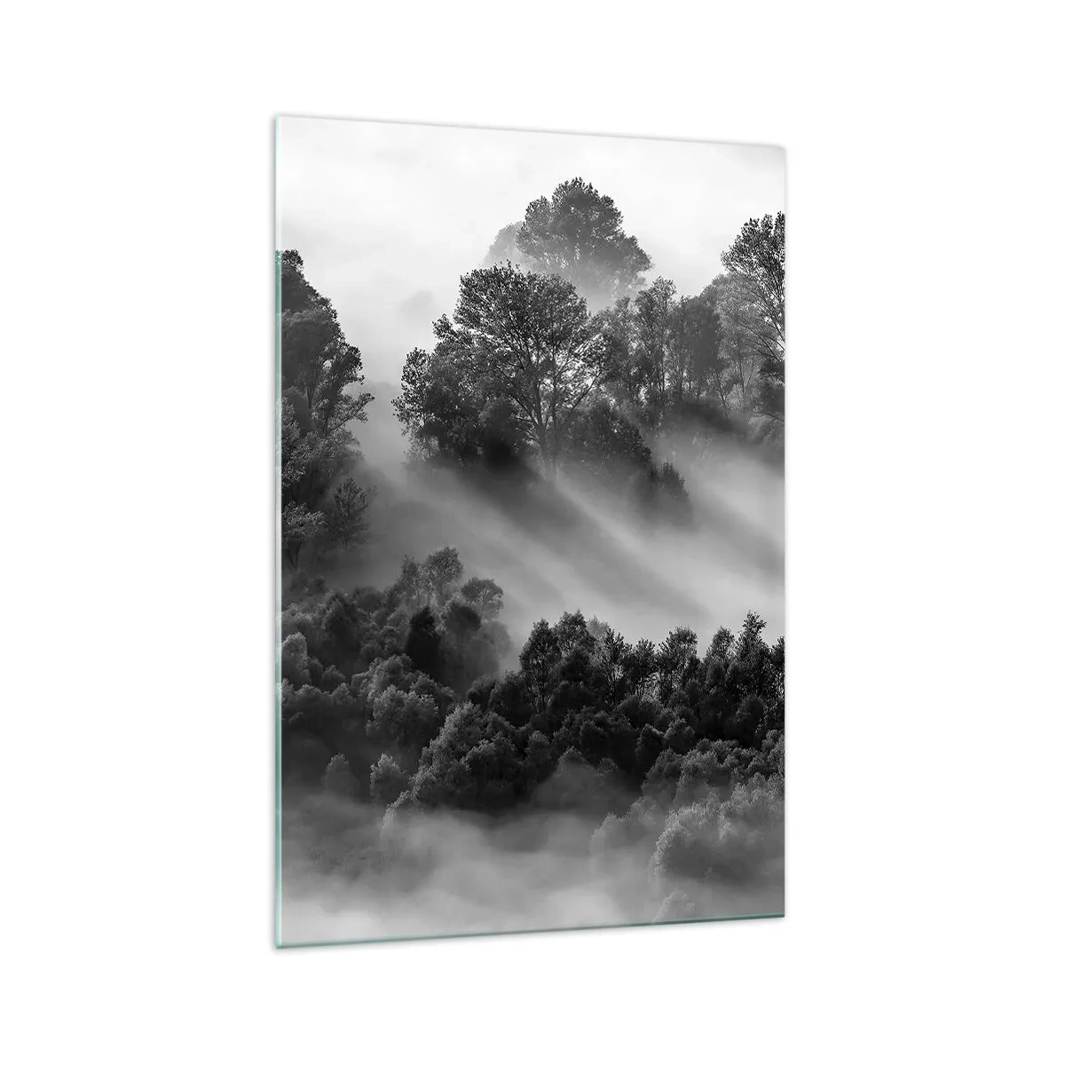 Quadro su vetro - Paesaggio forestale in bianco e nero nella nebbia mattutina - 70x100cm - Risveglio dal sonno - Decorazione murale moderna per soggiorno e camera da letto ARTTOR
