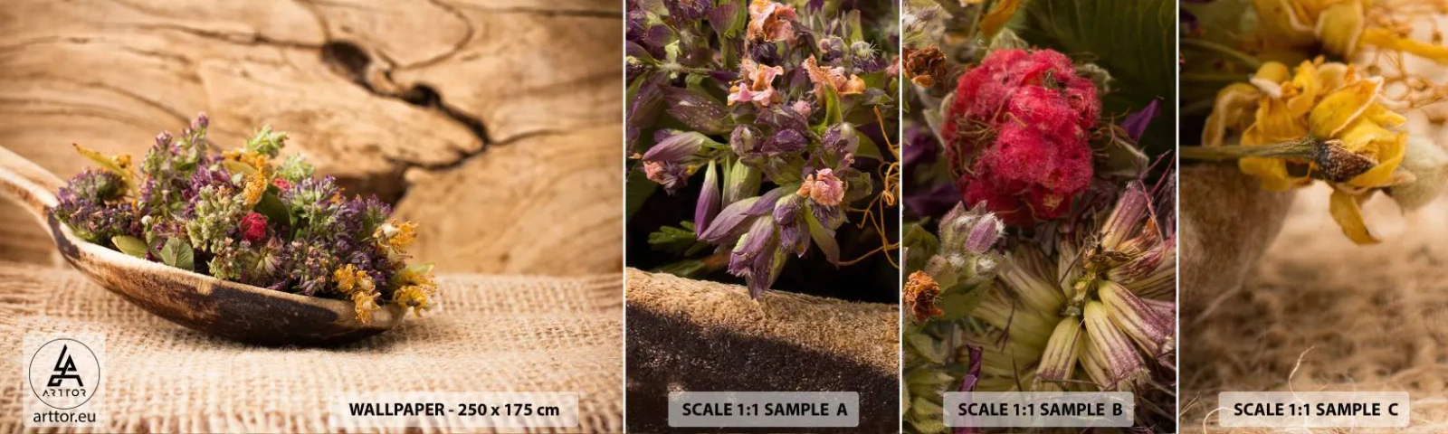 Campione Di Fotomurale Standard Eco - Fiori colorati ed erbe odorose - Natura, Erbe secche, Cucina - 100x30 cm