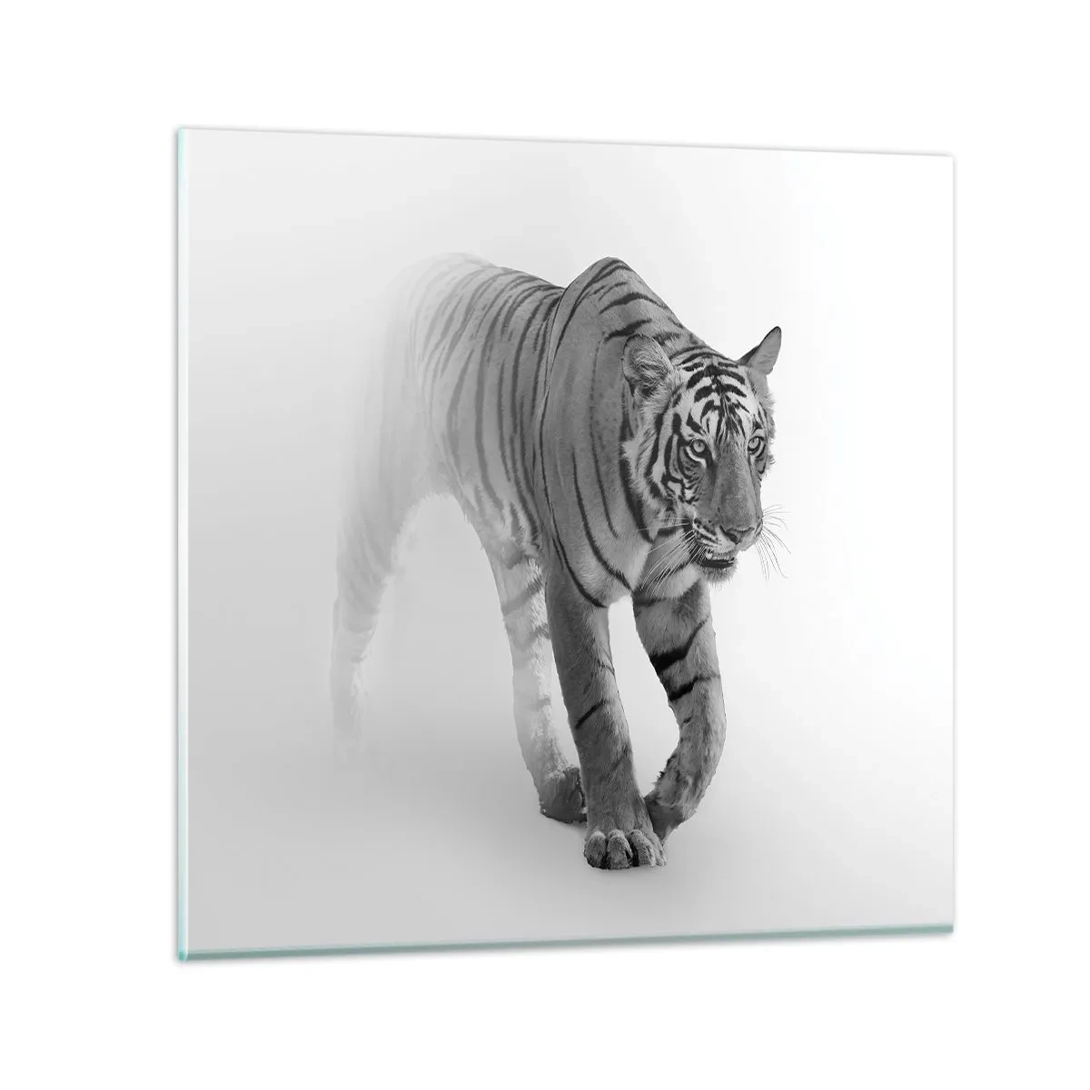 Quadro su vetro - Incantato nella nebbia - 40x40 cm