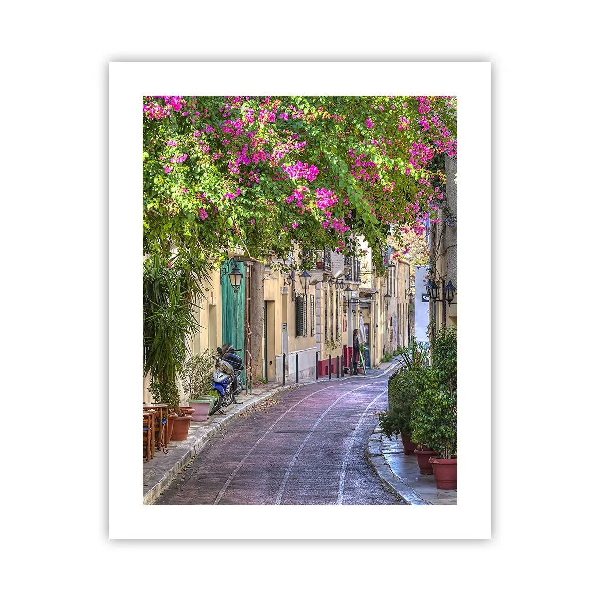Poster - Angolo fiorito - 40x50 cm