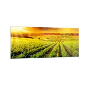 Quadro su vetro - Sotto il sole dell'Australia - 100x40 cm