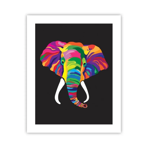 Poster - L'elefante che faceva il bagno nell'arcobaleno - 40x50 cm