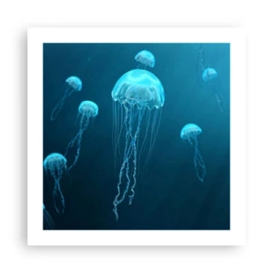 Poster - La danza oceanica - 50x50 cm