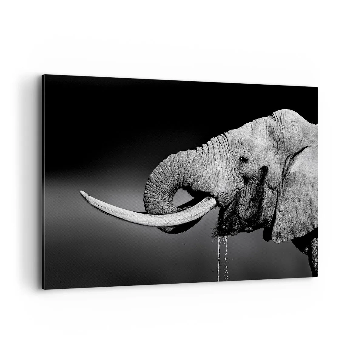 Quadro su tela - Stampe su Tela - Ritratto in bianco e nero di un elefante di profilo - 120x80cm - Si, adesso va bene - Decorazione murale moderna per soggiorno e camera da letto ARTTOR